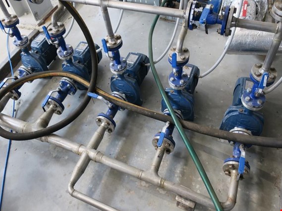 Used Pedrollo CP200 Vortex pumps for Sale (Auction Premium) | NetBid Industrial Auctions